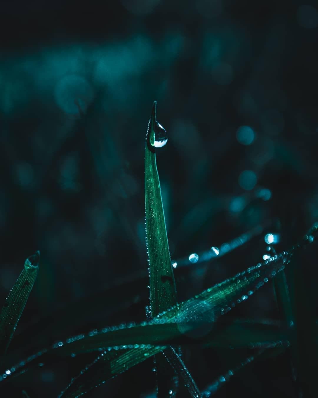 Photo by Abhishek Kashyap on February 14, 2019.