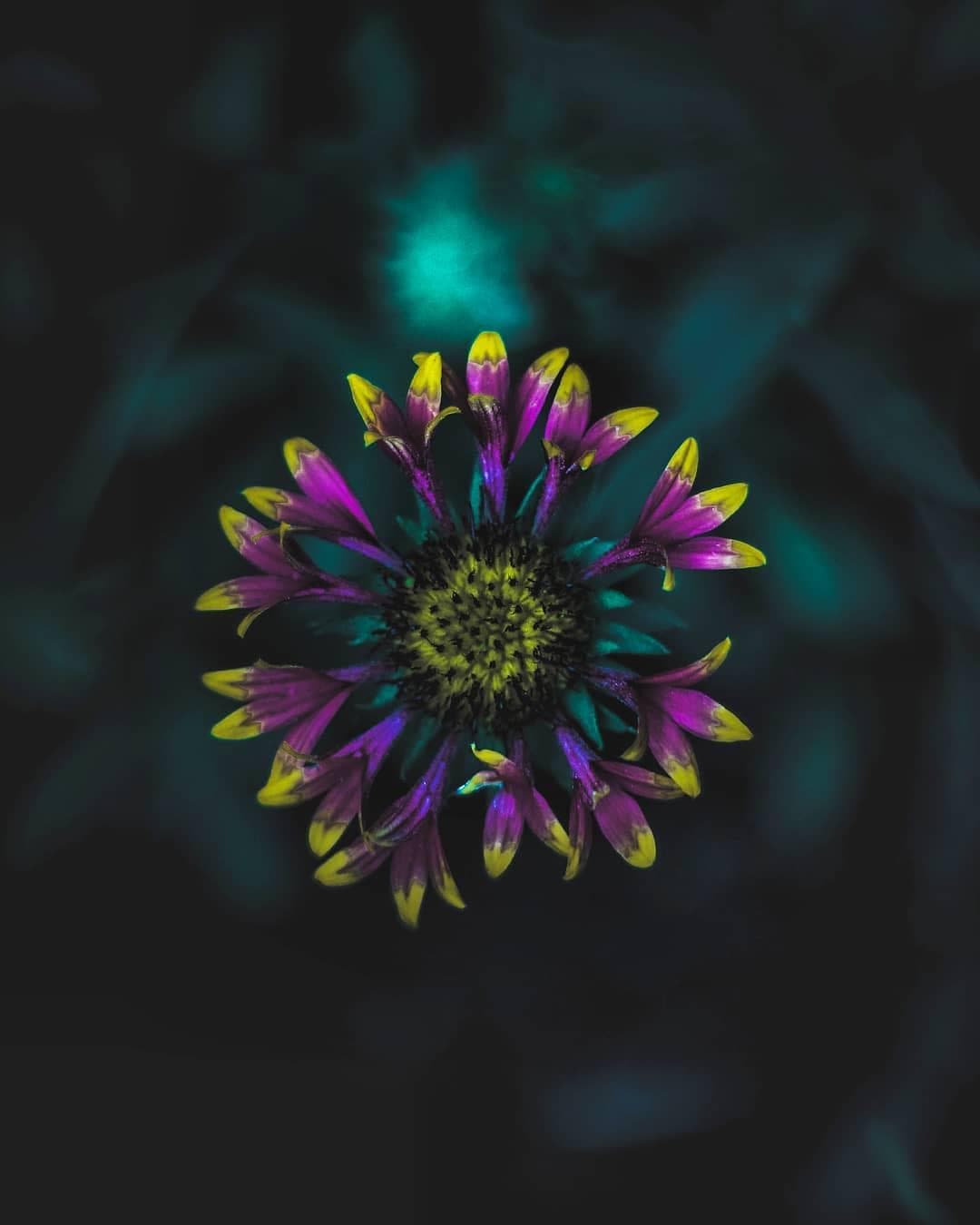 Photo by Abhishek Kashyap on February 02, 2019.