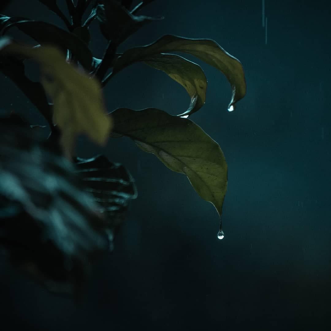 Photo by Abhishek Kashyap on April 09, 2019.